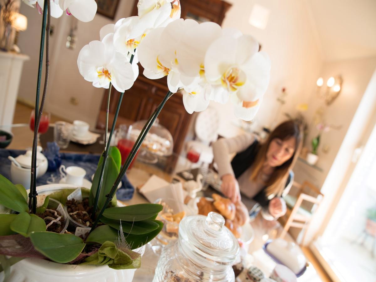 Casa Malena Bed & Breakfast Ascoli Piceno Dış mekan fotoğraf
